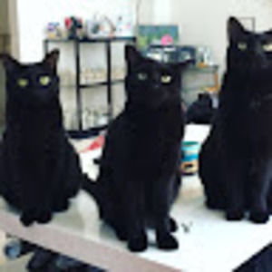 Meet your Posher, Caroline